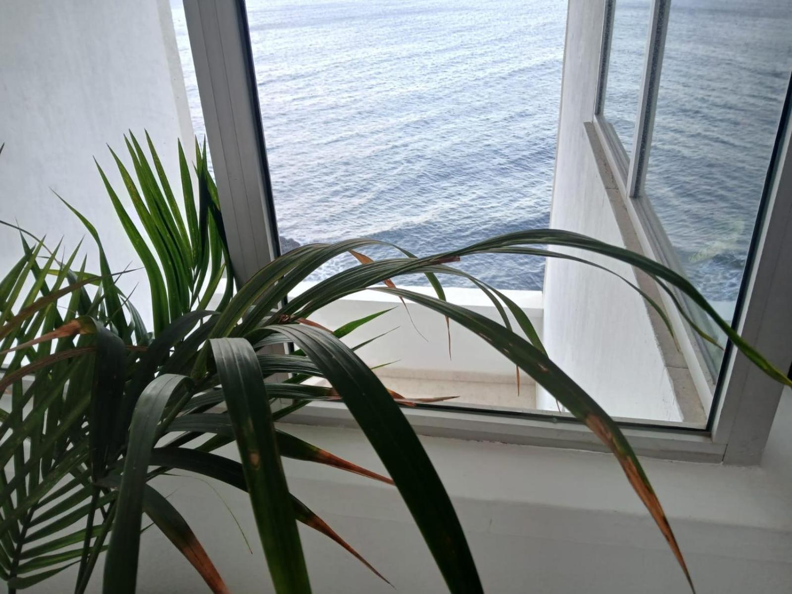 Apartamentos Playa Chica / Playa Las Gaviotas 산타크루스데 테네리페 외부 사진